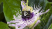 Amazing Timelapse Photography